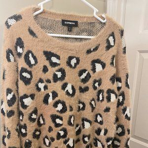 Express Sweater